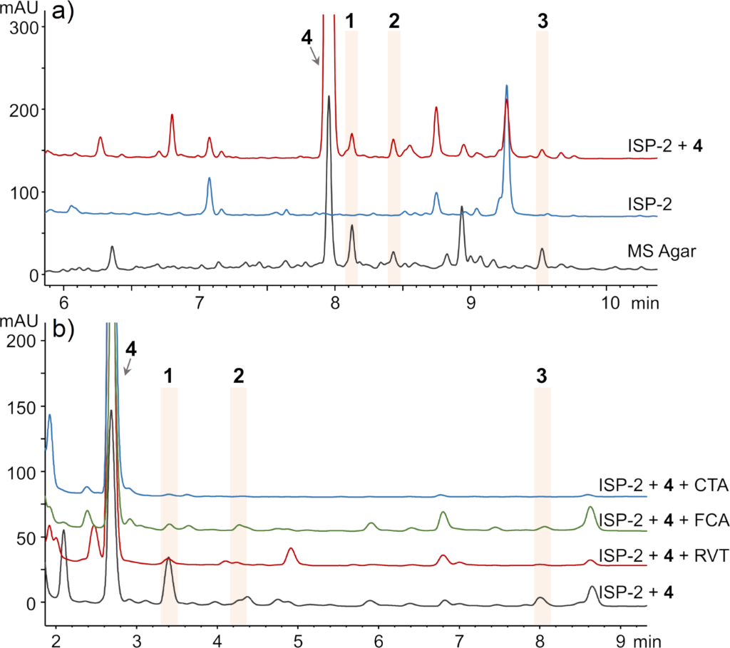 [1860-5397-18-113-2]