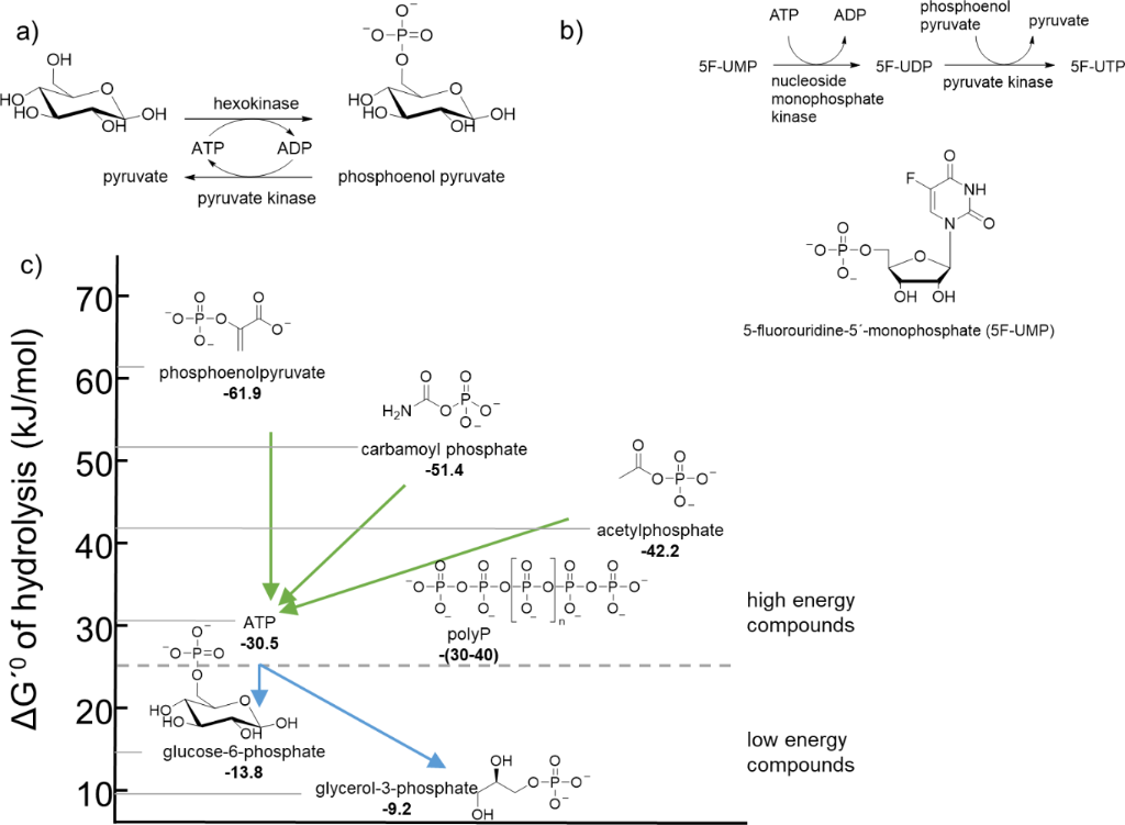 [1860-5397-18-134-3]