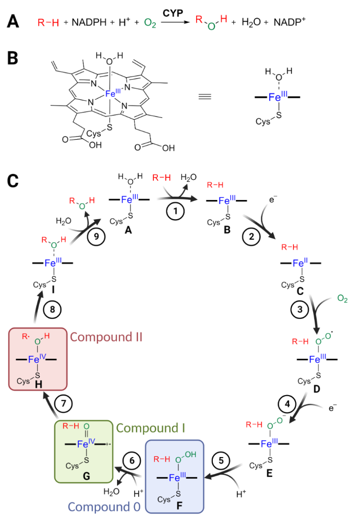 [1860-5397-18-135-1]