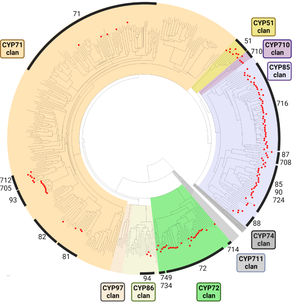 [1860-5397-18-135-2]
