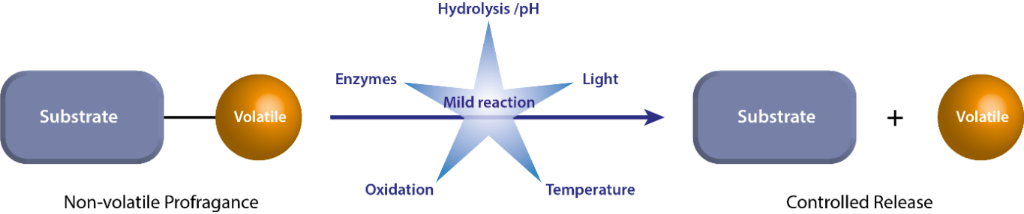 [1860-5397-18-140-1]