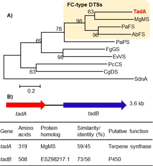 [1860-5397-18-144-2]
