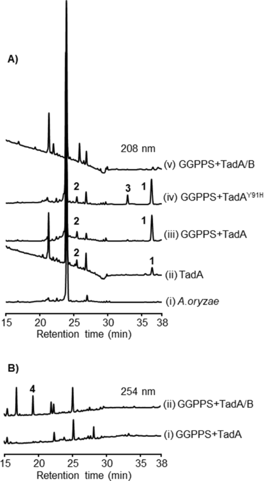 [1860-5397-18-144-3]