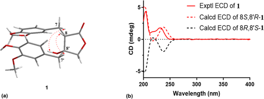 [1860-5397-18-146-3]