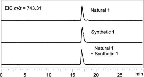 [1860-5397-18-166-2]