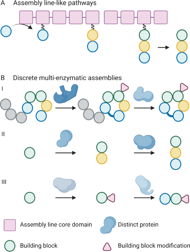 [1860-5397-18-178-2]