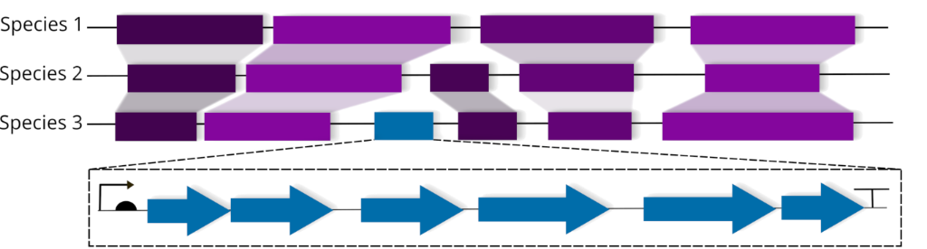 [1860-5397-18-178-7]