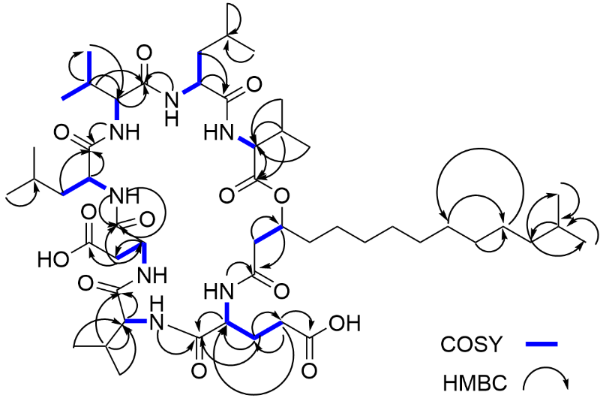 [1860-5397-18-185-2]