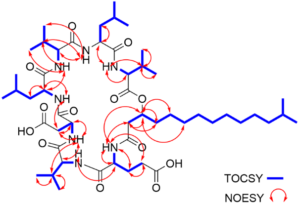 [1860-5397-18-185-3]