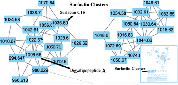 [1860-5397-18-185-6]