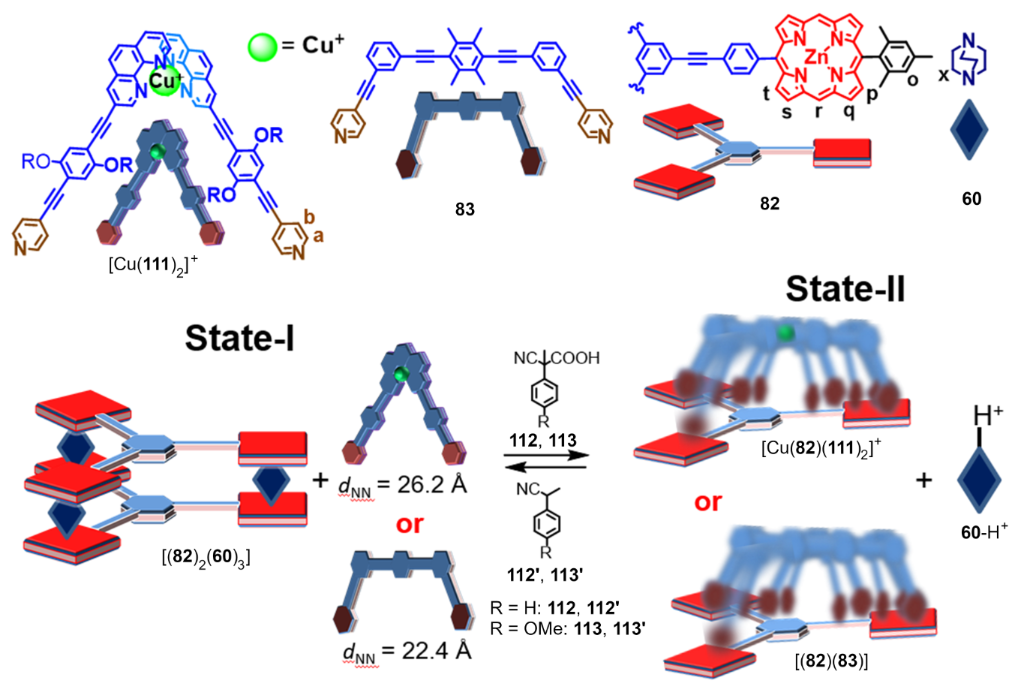 [1860-5397-18-62-24]