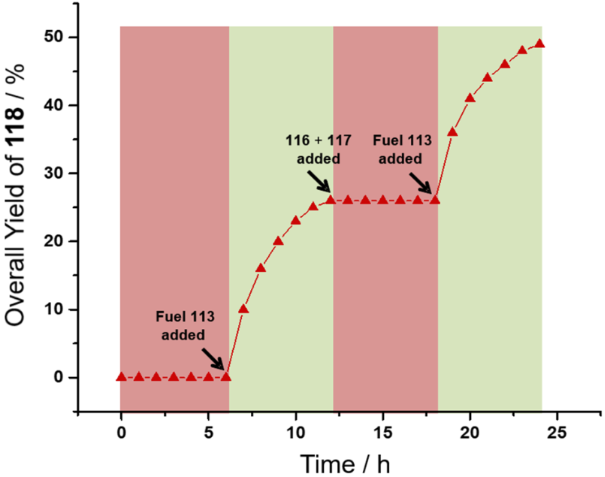 [1860-5397-18-62-26]