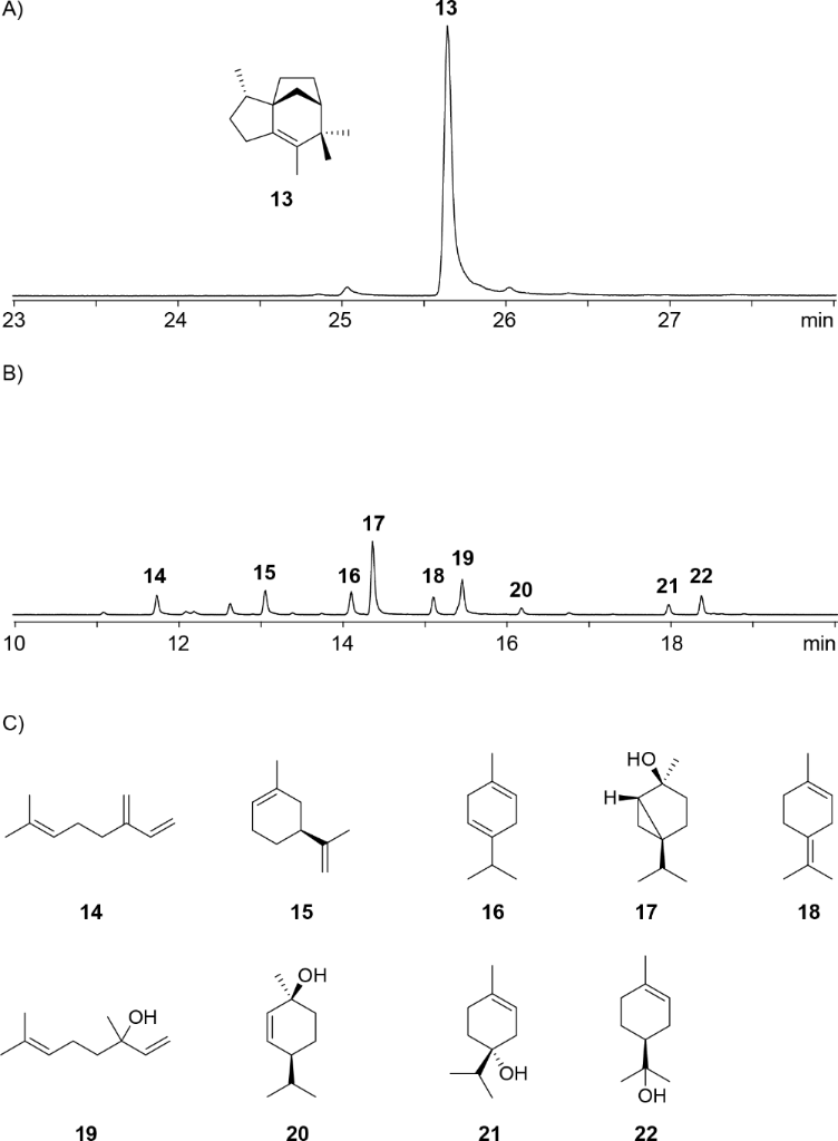 [1860-5397-19-100-5]
