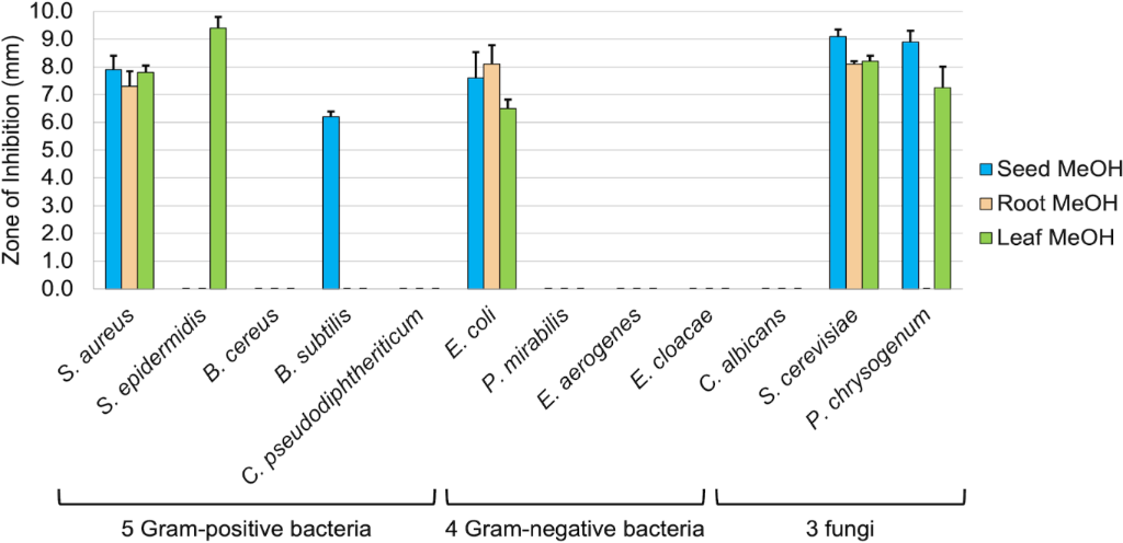 [1860-5397-19-108-1]