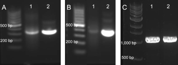 [1860-5397-19-146-2]