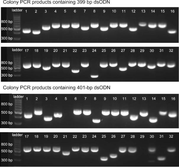 [1860-5397-19-146-3]