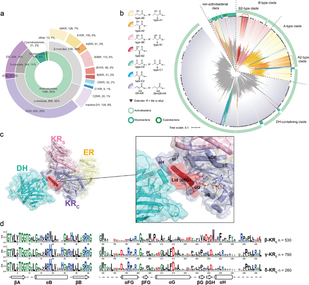 [1860-5397-20-131-2]