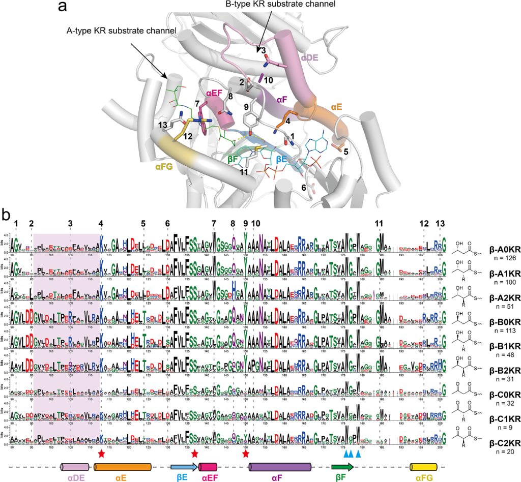 [1860-5397-20-131-3]