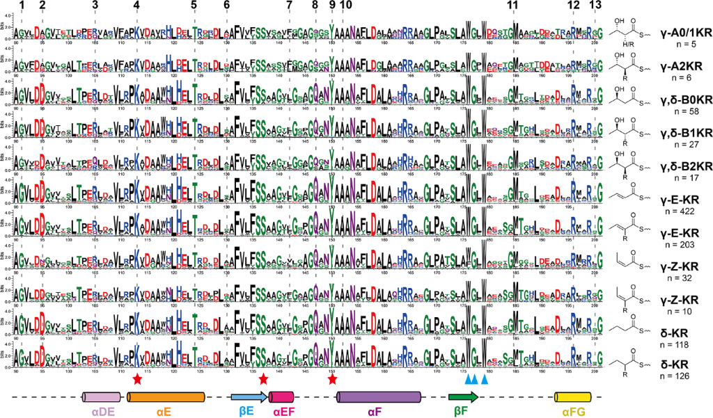 [1860-5397-20-131-4]