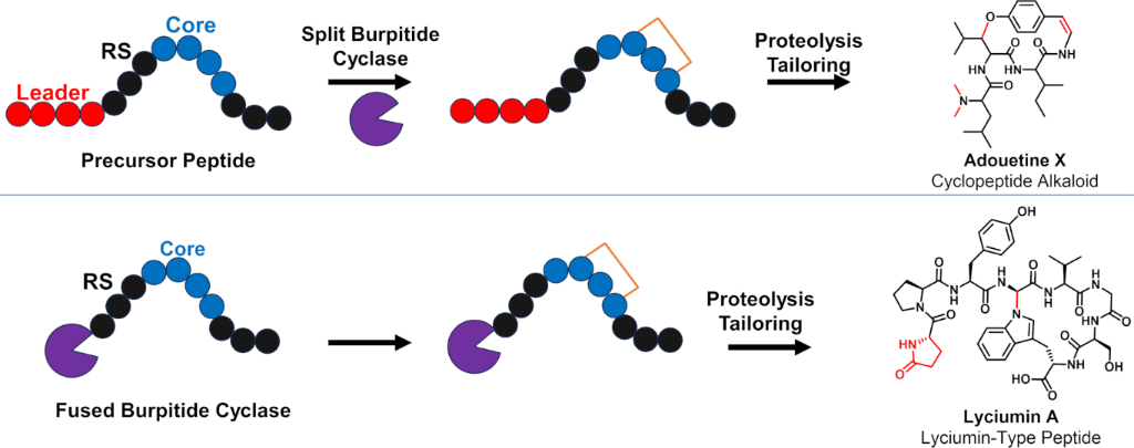 [1860-5397-20-138-1]