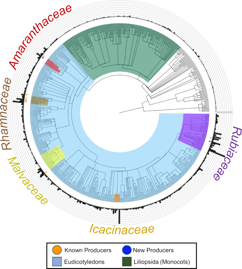 [1860-5397-20-138-2]