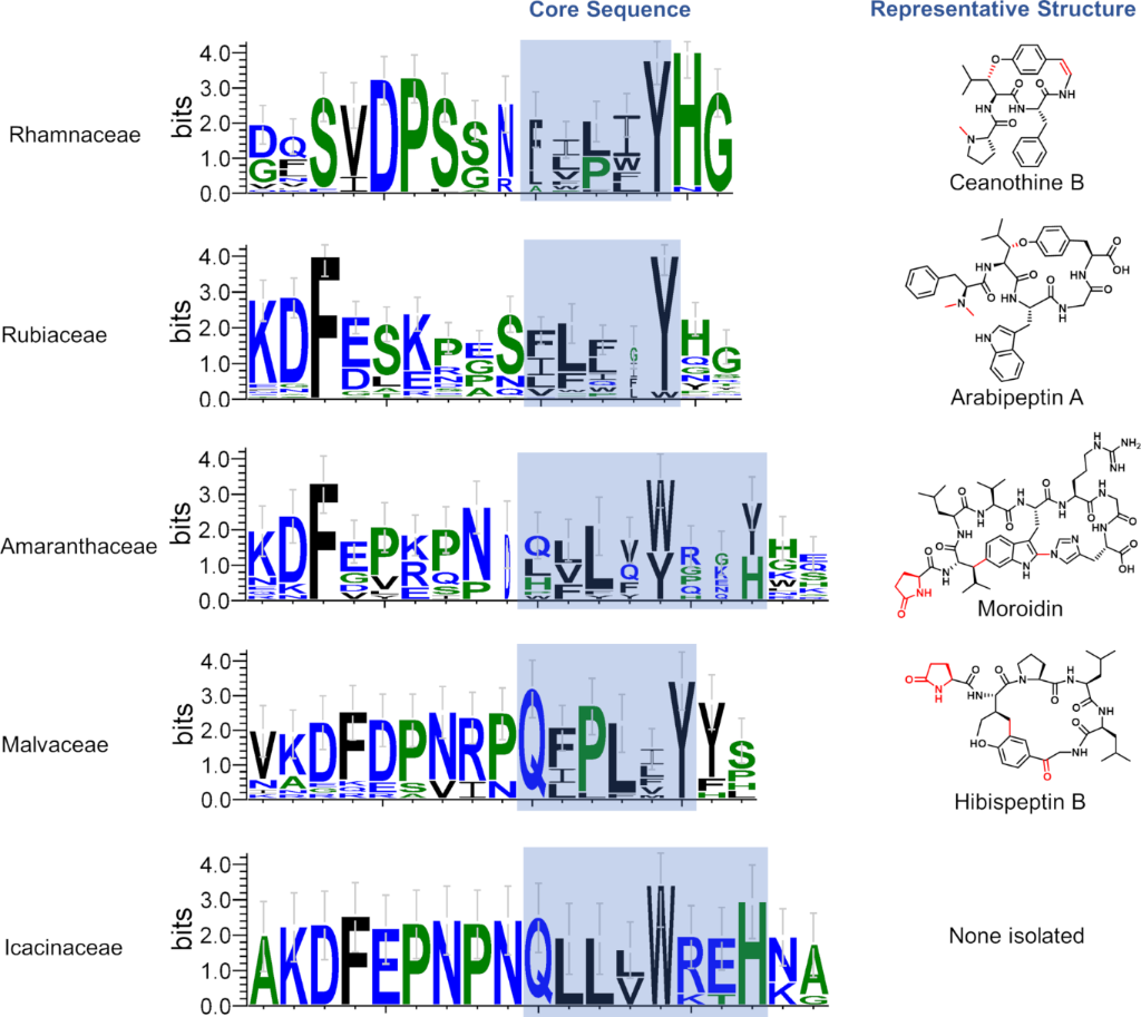 [1860-5397-20-138-3]