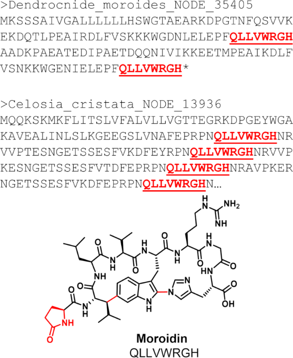 [1860-5397-20-138-4]
