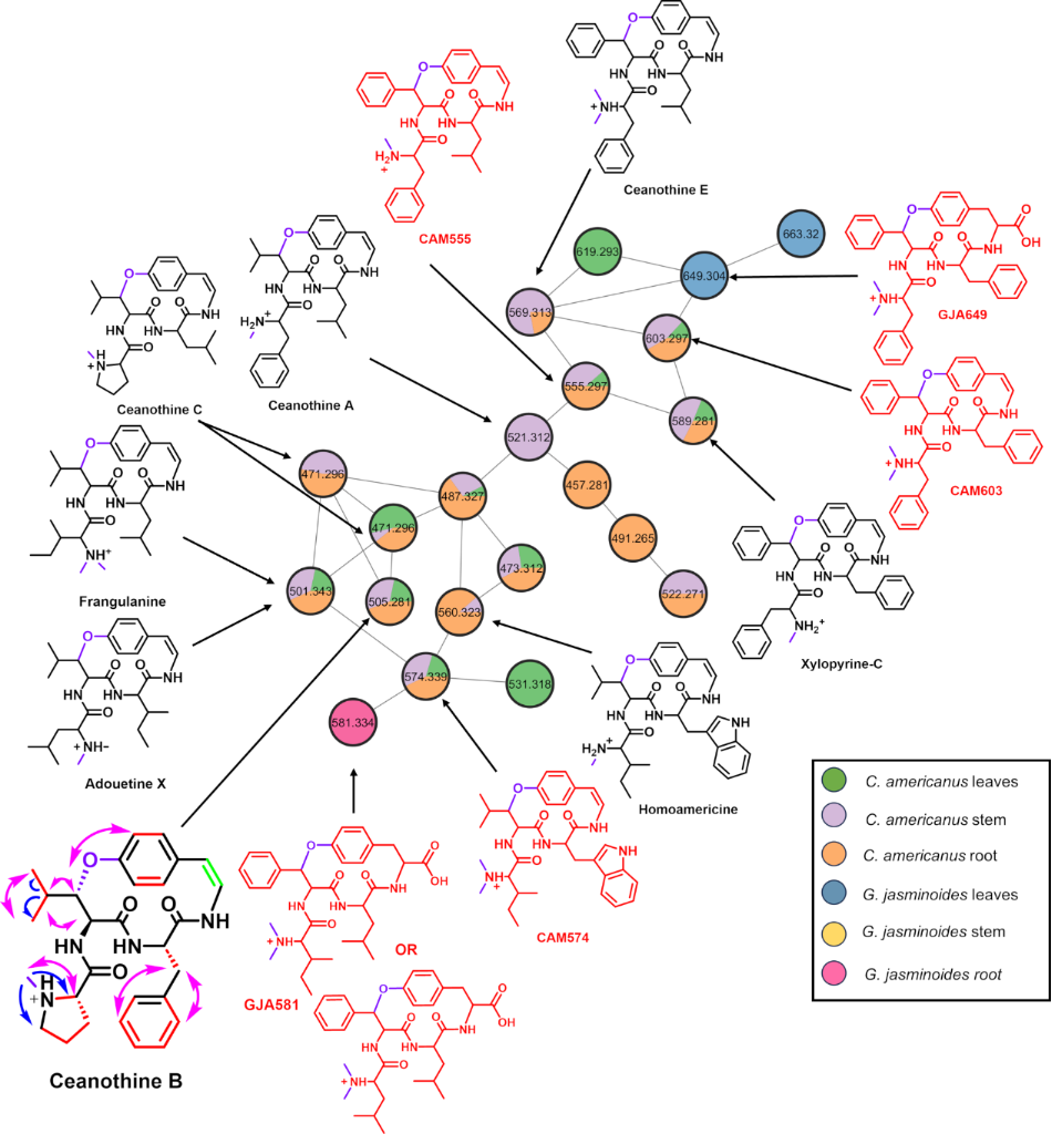 [1860-5397-20-138-5]