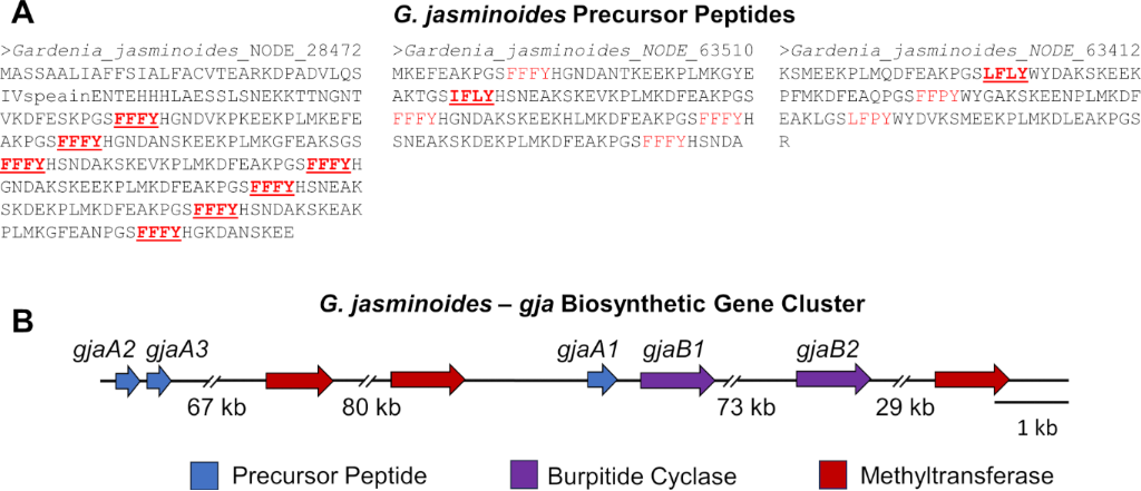 [1860-5397-20-138-6]