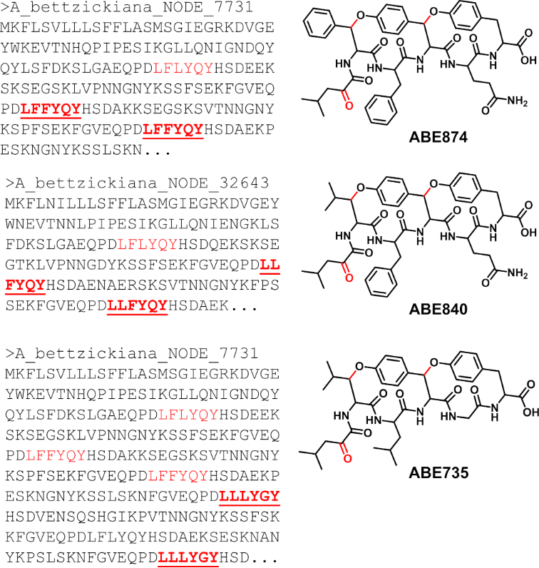[1860-5397-20-138-7]