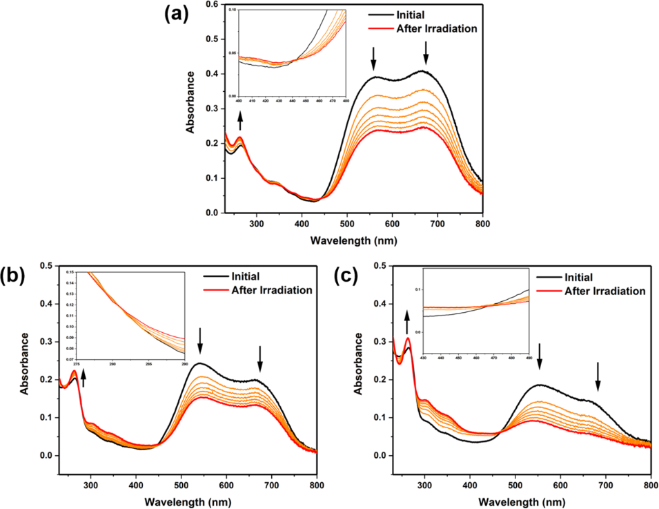 [1860-5397-20-142-2]