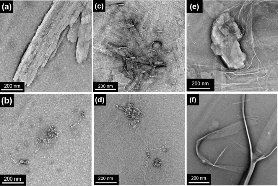 [1860-5397-20-142-3]