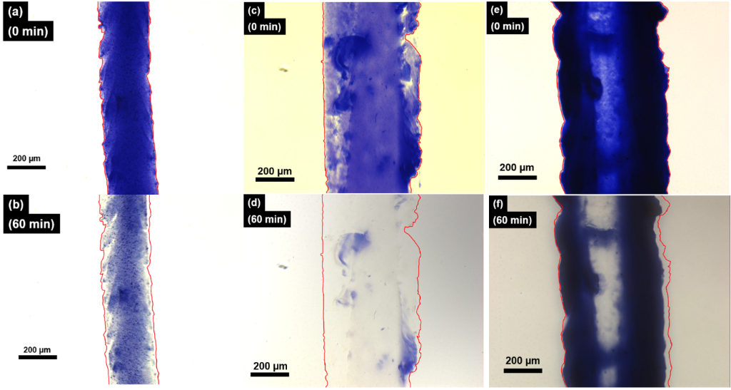 [1860-5397-20-142-5]