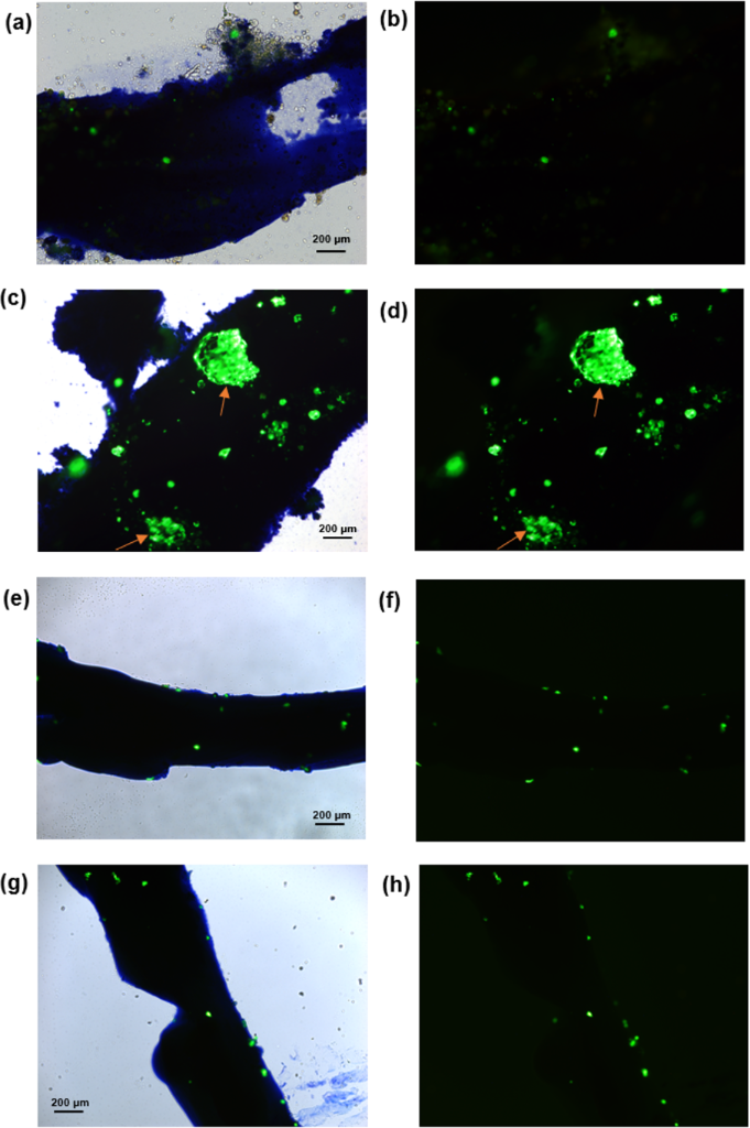 [1860-5397-20-142-6]