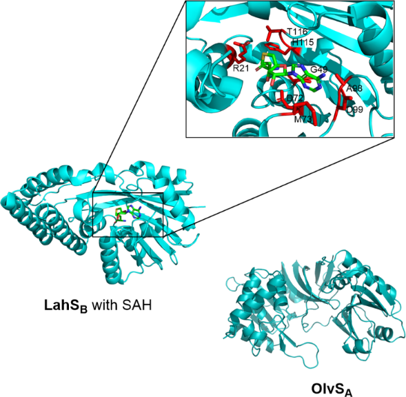 [1860-5397-20-147-5]