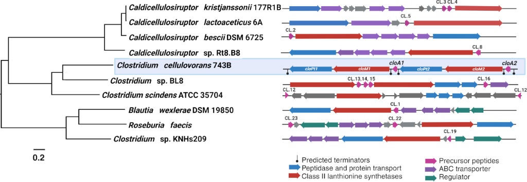 [1860-5397-20-159-2]