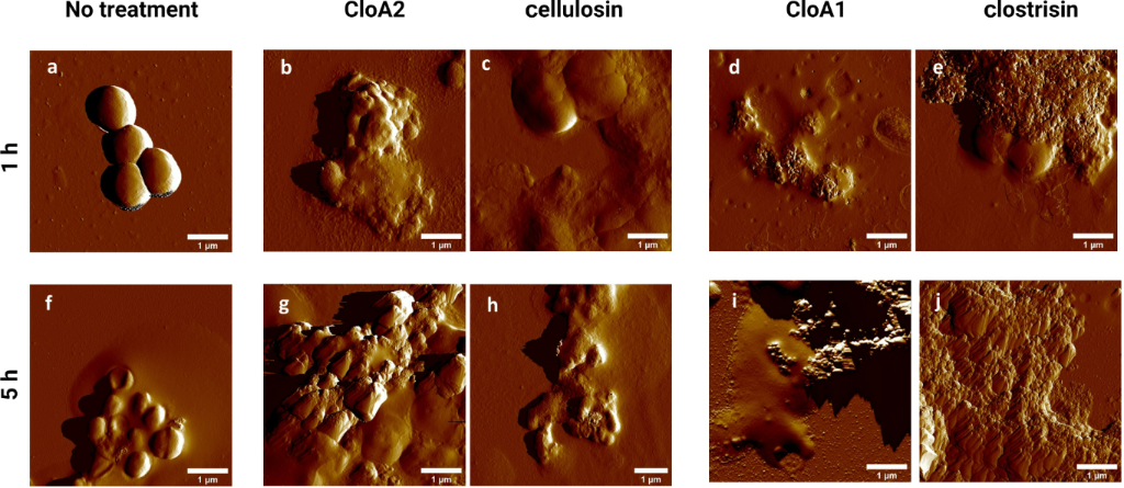 [1860-5397-20-159-6]