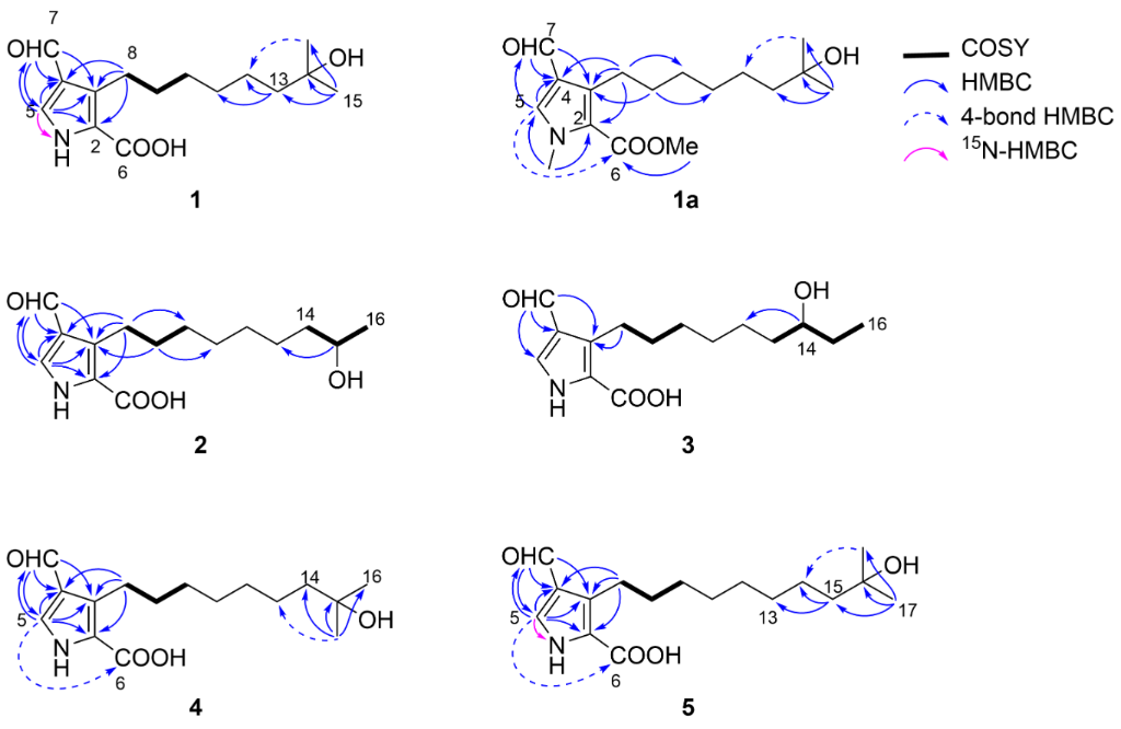 [1860-5397-20-174-2]