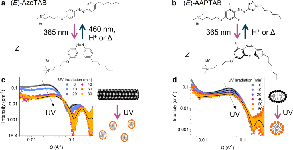 [1860-5397-20-176-1]
