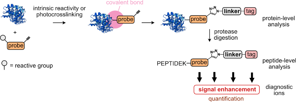 [1860-5397-20-199-1]