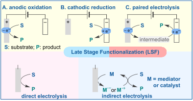Graphical Abstract