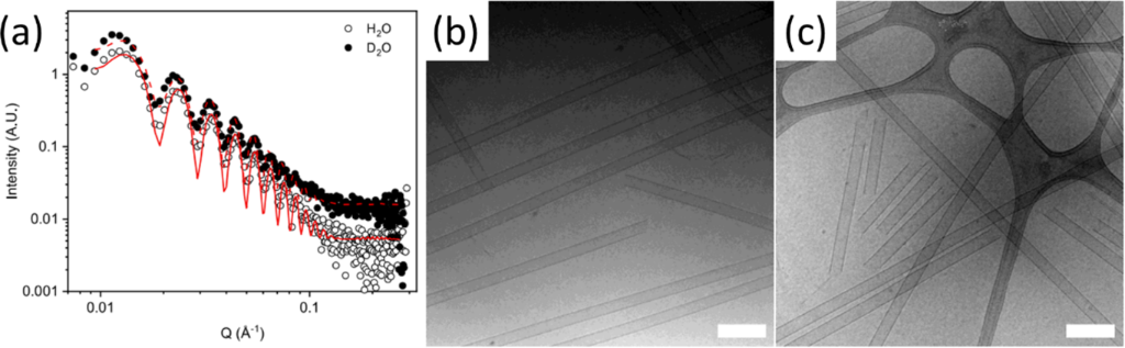 [1860-5397-20-220-13]