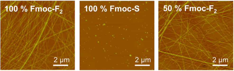 [1860-5397-20-220-3]