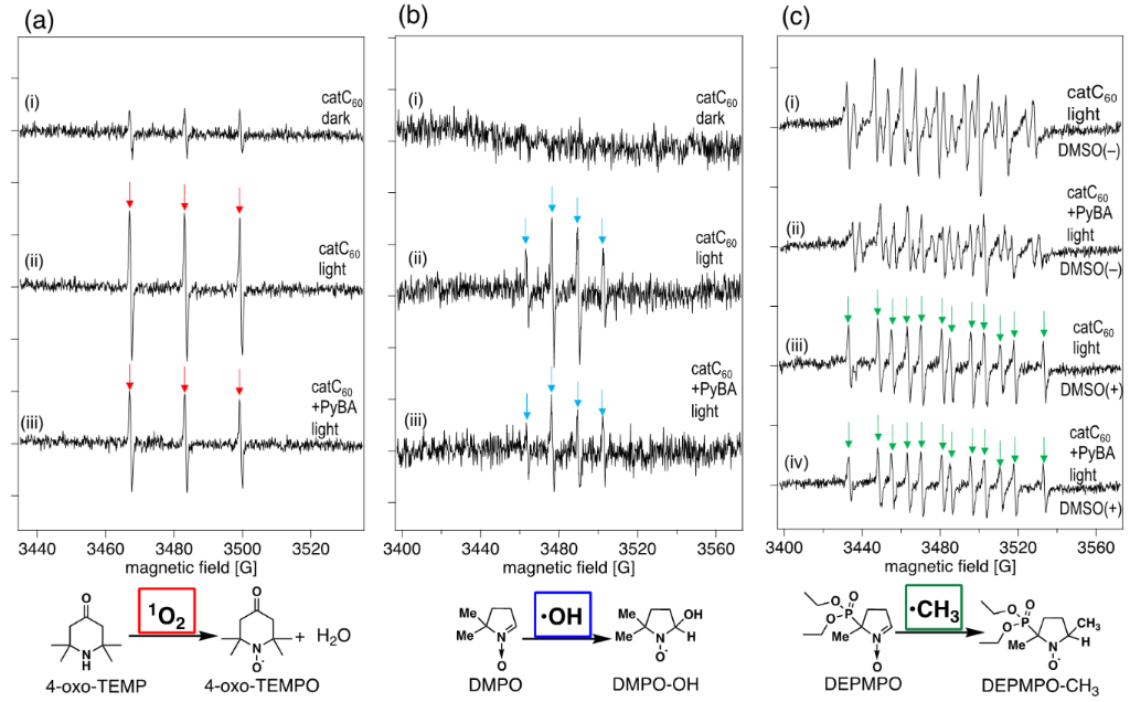 [1860-5397-20-231-5]