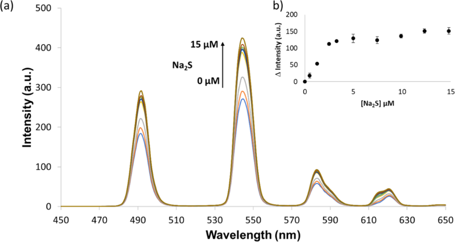 [1860-5397-20-237-4]
