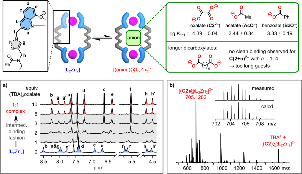 [1860-5397-20-250-2]