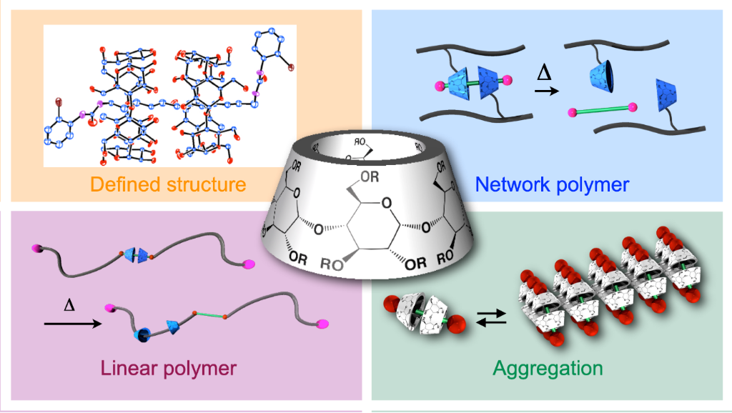 [1860-5397-20-252-1]