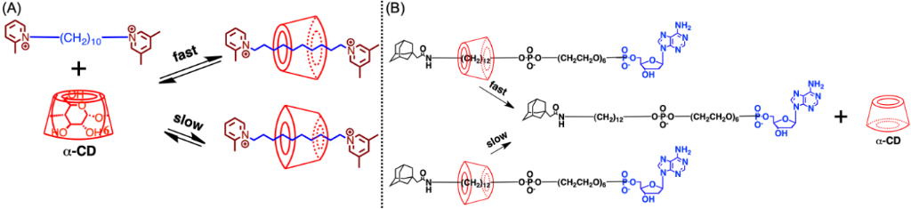 [1860-5397-20-252-8]