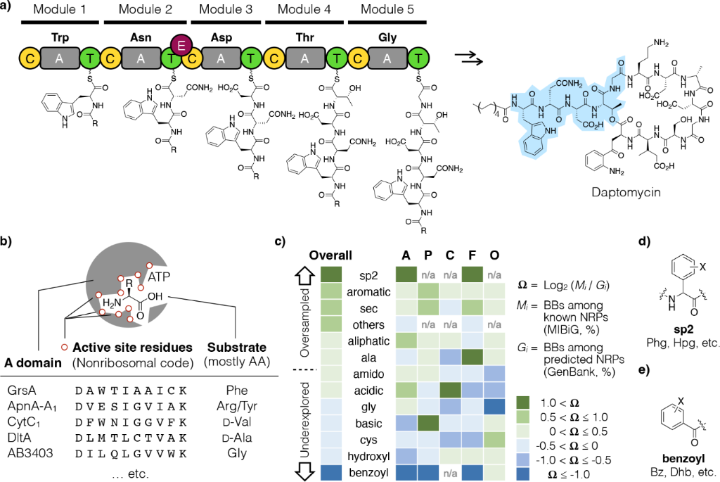 [1860-5397-20-253-3]