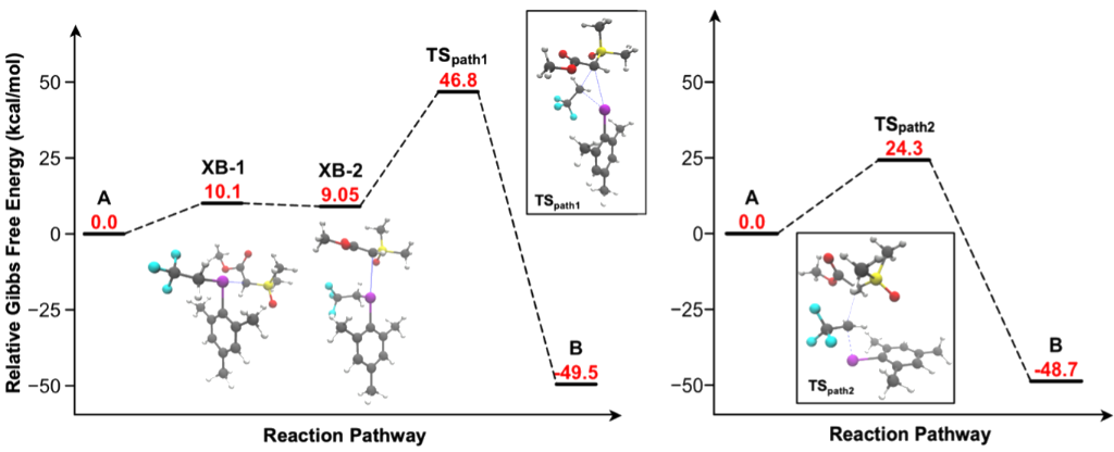 [1860-5397-20-263-4]